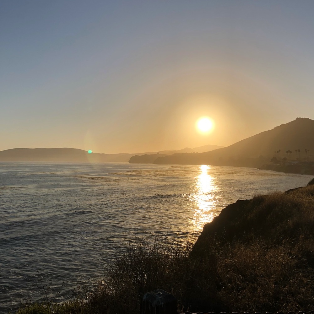 Meet your Posher, Jeanette